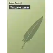 Постер книги Мудрые девы