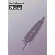 Постер книги Убежал