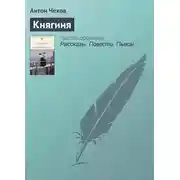 Постер книги Княгиня