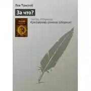 Постер книги За что?