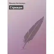 Постер книги Стрижам