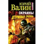 Постер книги Штурмовая группа