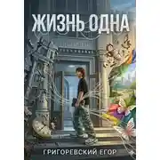 Постер книги Жизнь одна