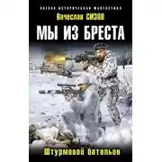 Постер книги Мы из Бреста. Штурмовой батальон