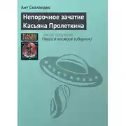 Постер книги Непорочное зачатие Касьяна Пролеткина