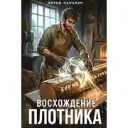 Постер книги Восхождение Плотника