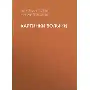 Постер книги Картинки Волыни
