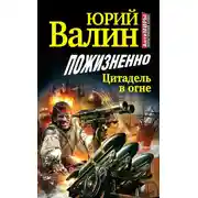 Постер книги Пожизненно. Цитадель в огне