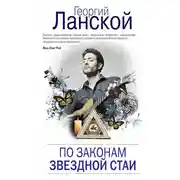 Постер книги По законам звездной стаи