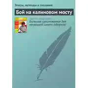 Постер книги Бой на калиновом мосту