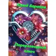 Постер книги Переразводной ключ