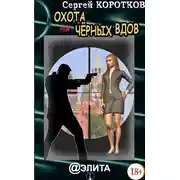 Постер книги Охота на Черных Вдов