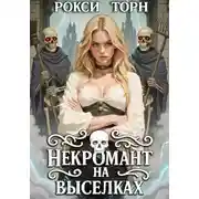 Постер книги Некромант на выселках