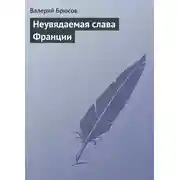 Постер книги Неувядаемая слава Франции