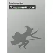 Постер книги Прозрачный гость
