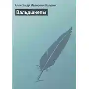 Постер книги Вальдшнепы