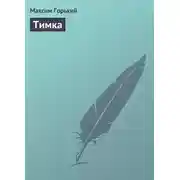 Постер книги Тимка