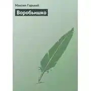 Постер книги Воробьишко