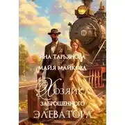 Постер книги Хозяйка заброшенного элеватора