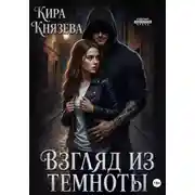 Постер книги Взгляд из темноты