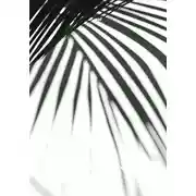 Постер книги av- t!e$s#t!!23