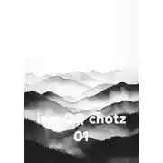 Постер книги im- QQ chotz 01