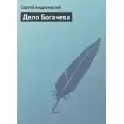 Постер книги Дело Богачева