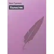 Постер книги Холостяк