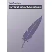 Постер книги Встреча моя с Белинским