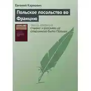 Постер книги Польское посольство во Францию