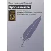 Постер книги Красильниковы