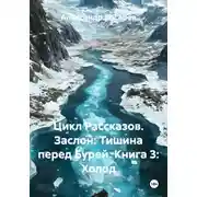Постер книги Цикл Рассказов. Заслон: Тишина перед Бурей. Книга 3: Холод