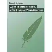 Постер книги Сцена из частной жизни, в 2028 году, от Рожд. Христова