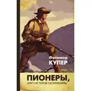 Постер книги Пионеры, или У истоков Саскуиханны