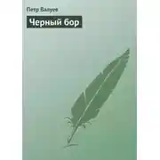 Постер книги Черный бор