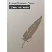 Постер книги Происшествие