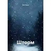 Постер книги Шторм