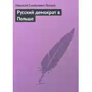 Постер книги Русский демократ в Польше