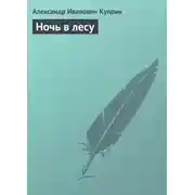 Постер книги Ночь в лесу