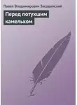 Павел Засодимский - Перед потухшим камельком