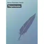 Постер книги Переполох