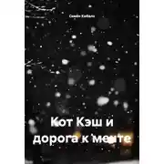 Постер книги Кот Кэш и дорога к мечте
