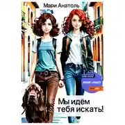 Постер книги Мы идём тебя искать!