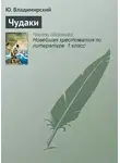 Ю. Владимирский - Чудаки