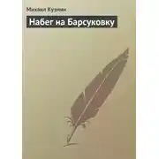 Постер книги Набег на Барсуковку