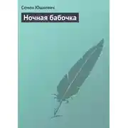 Постер книги Ночная бабочка