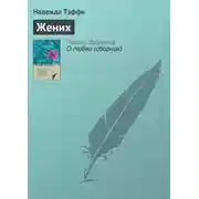 Постер книги Жених