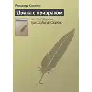 Постер книги Драка с призраком