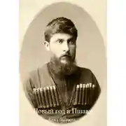 Постер книги Новый год в Пшави