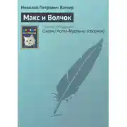 Постер книги Макс и Волчок